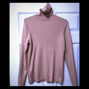 Ann Taylor Turtle neck XL